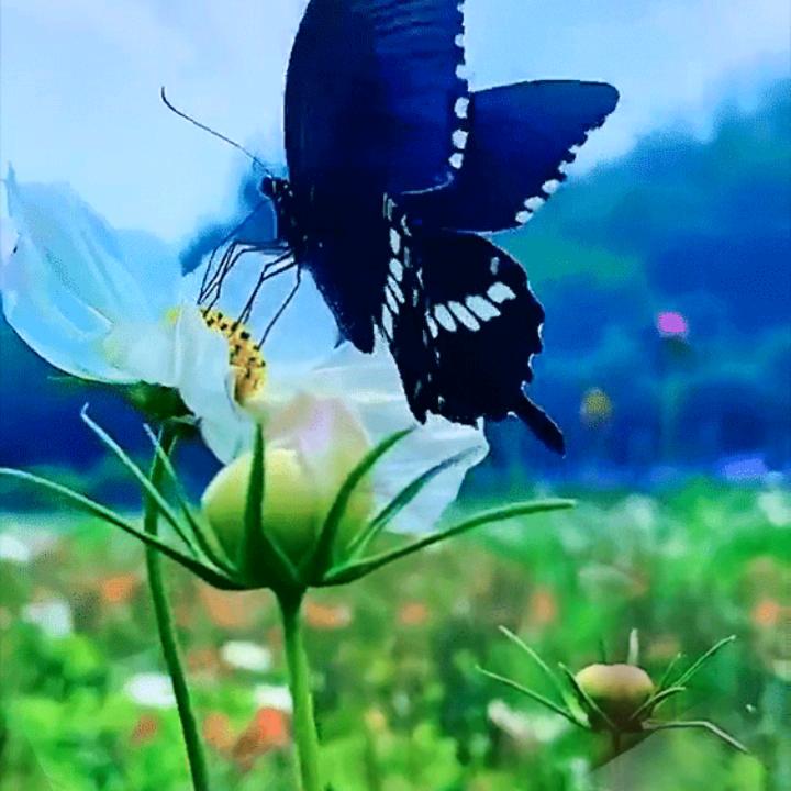 幸福一家人