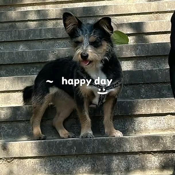 哥儿俩摆了个摊