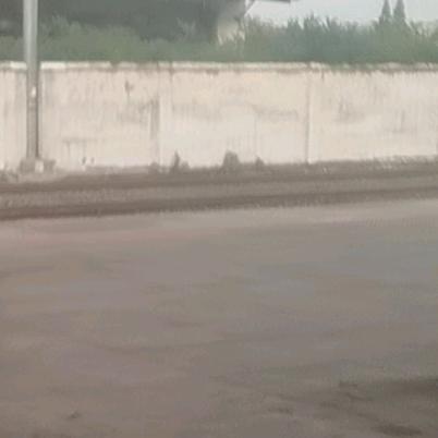 最牛我鑫哥