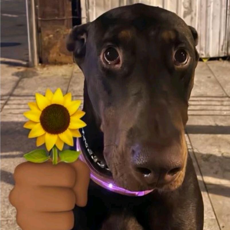 八十岁老头穿开裆裤