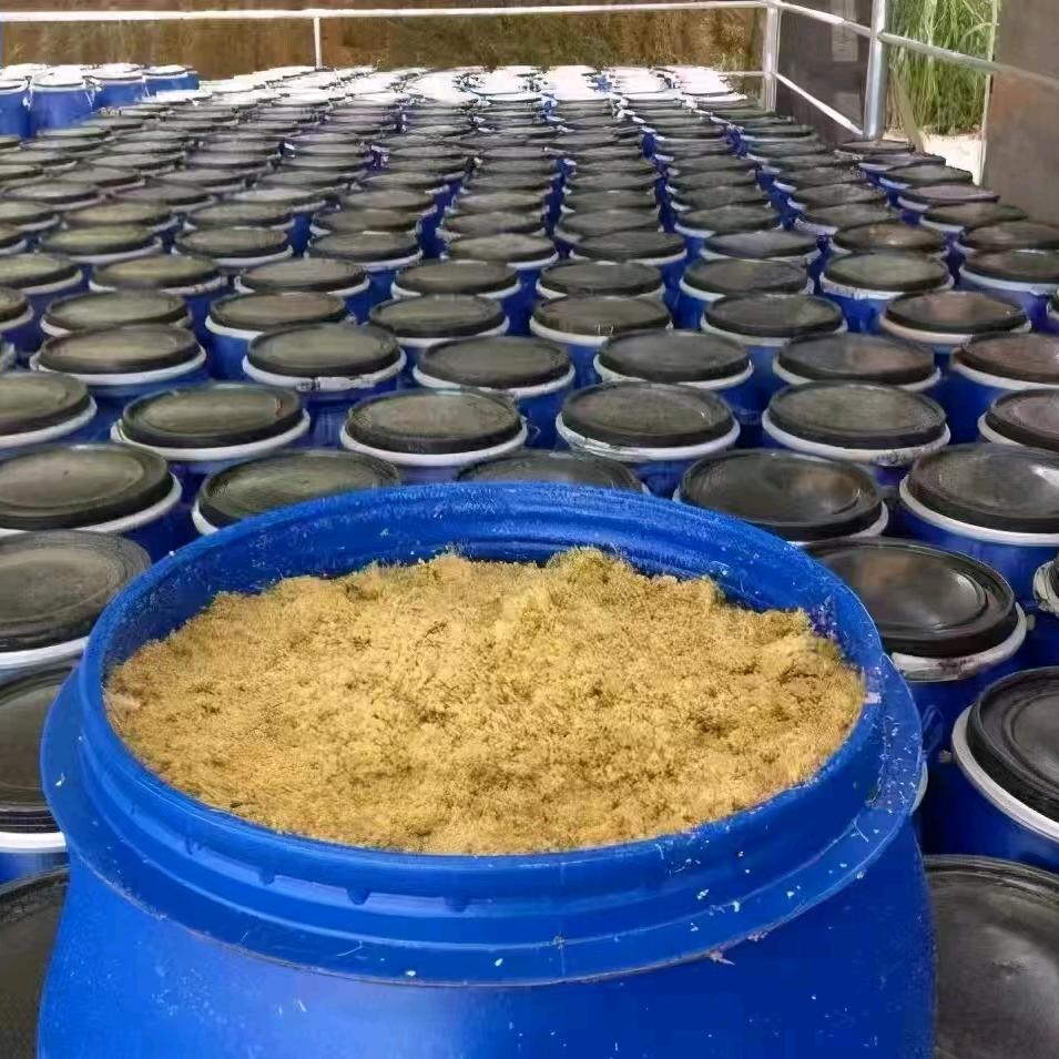 菌多多动保小店（收徒）