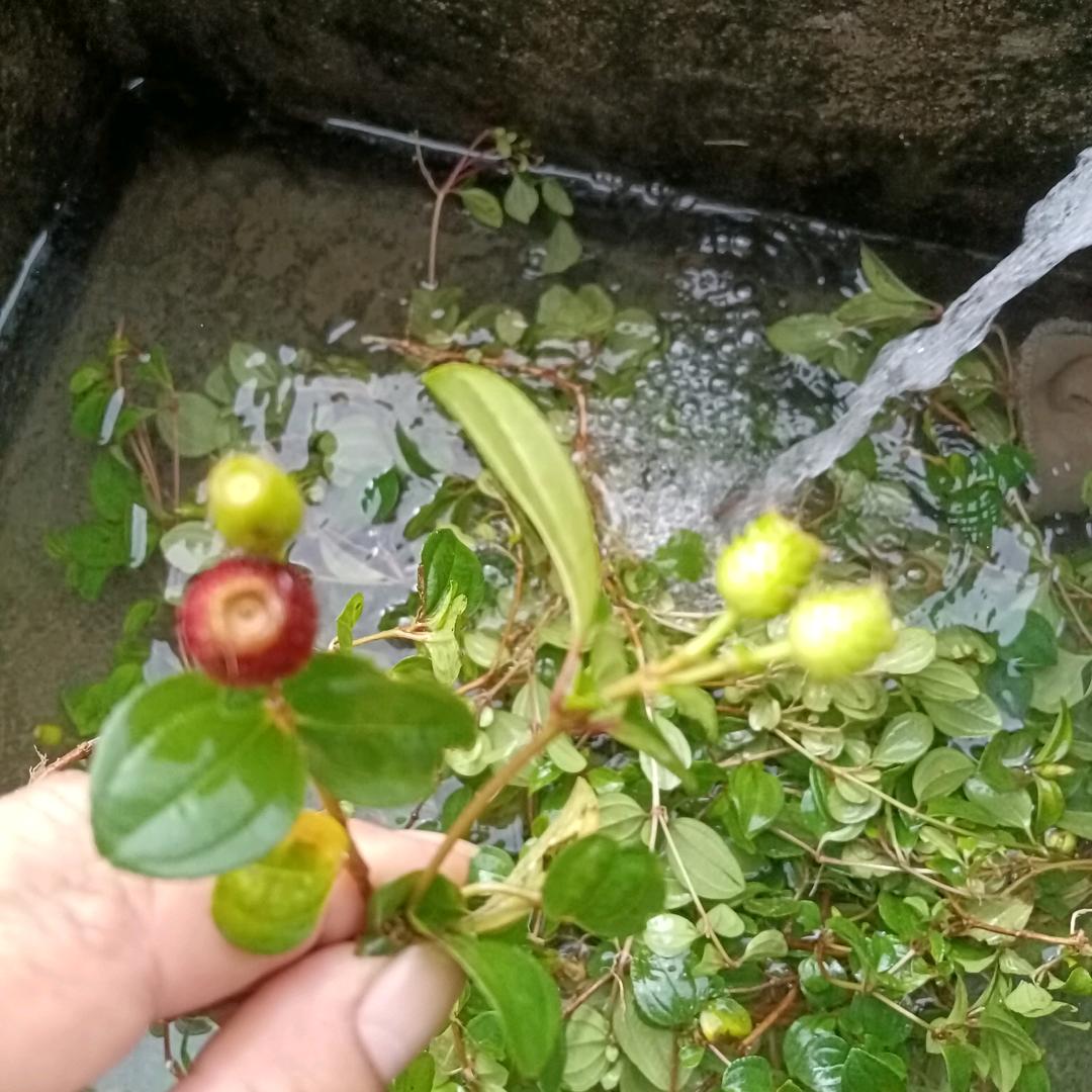 静思🍃🍂🍎