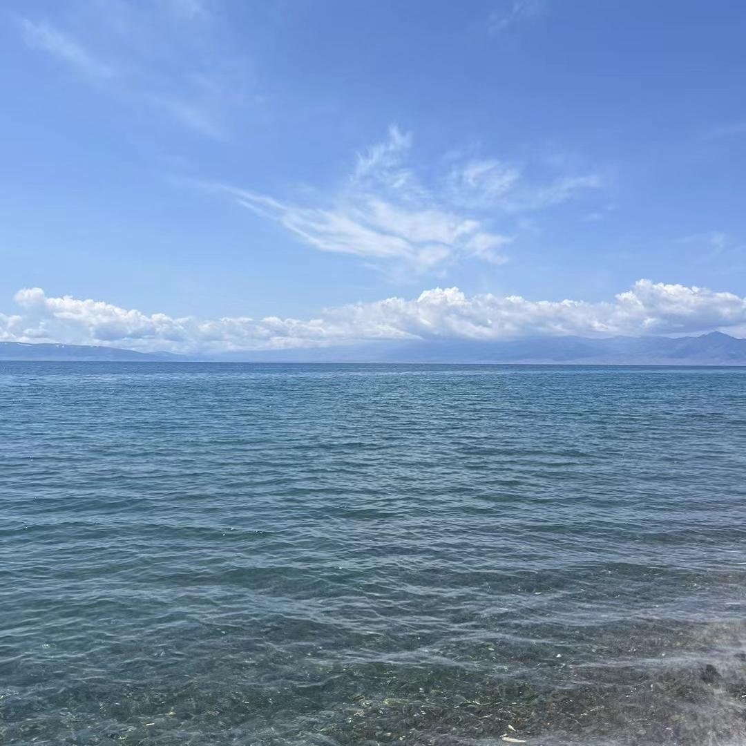 176[玫瑰] 8150 387