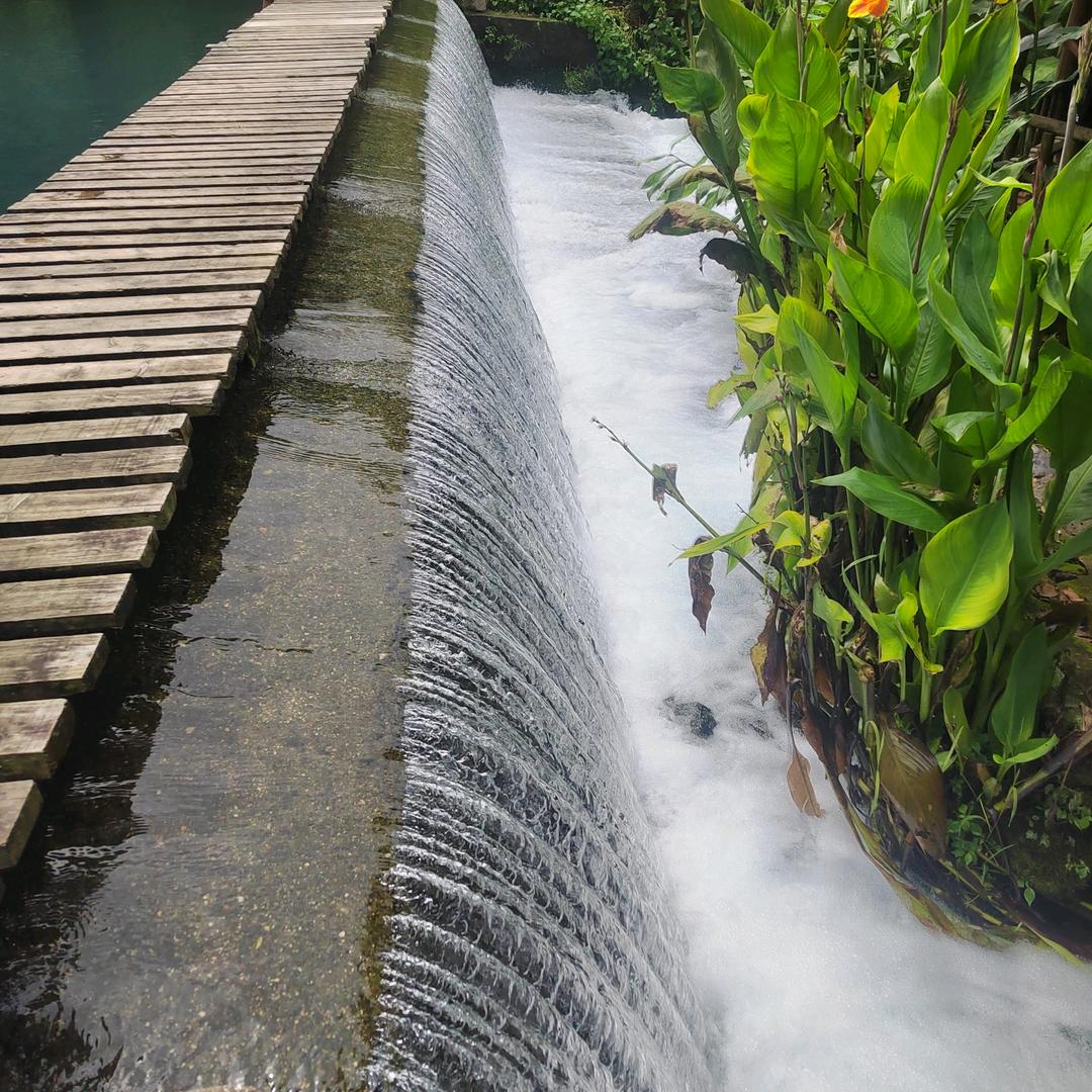 骑着乌龟上高速