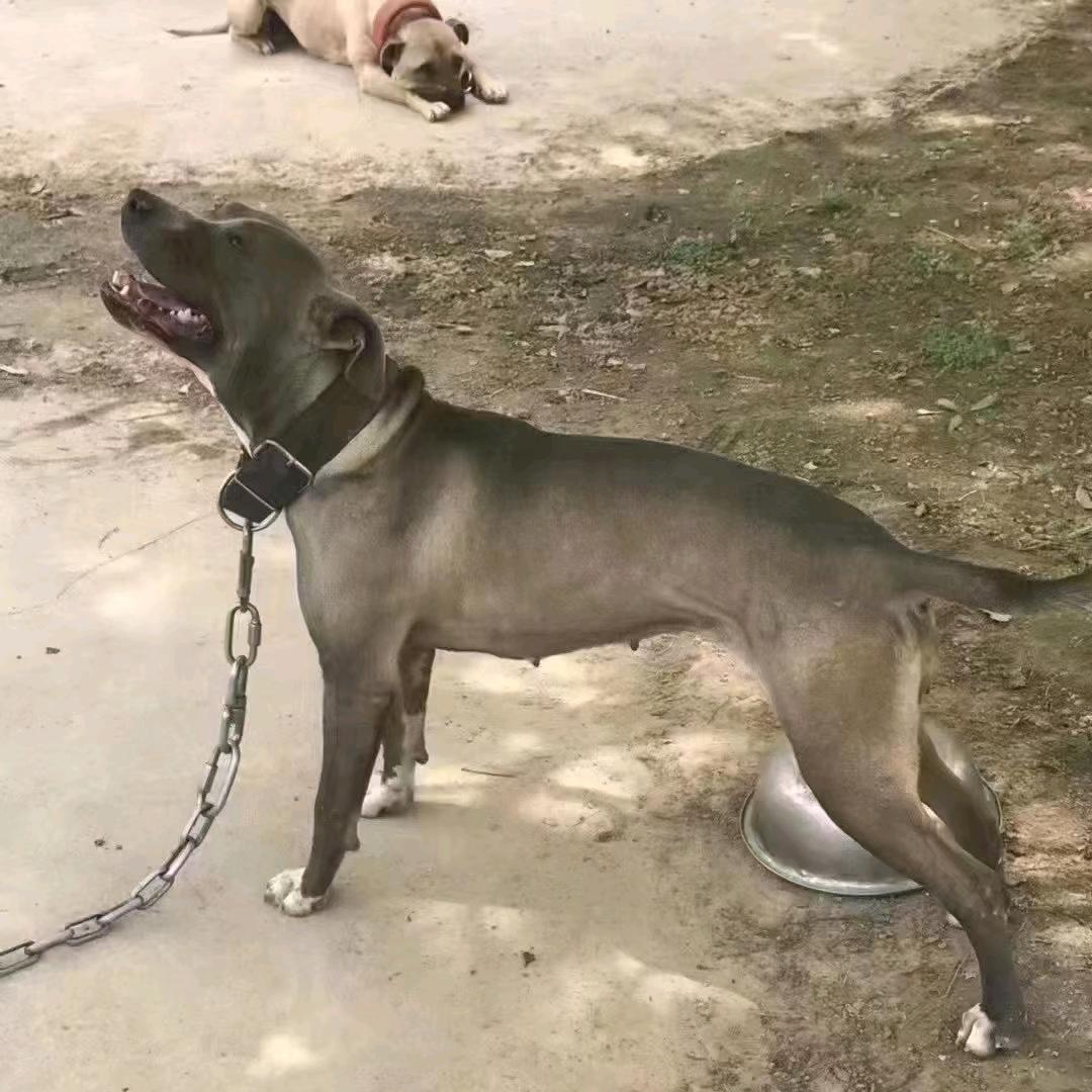 他们说