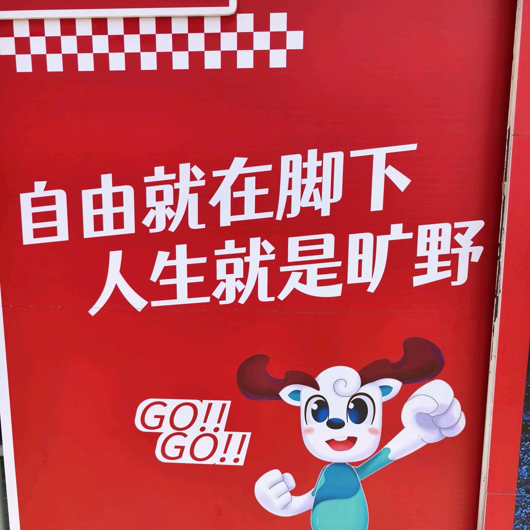 星陈大海