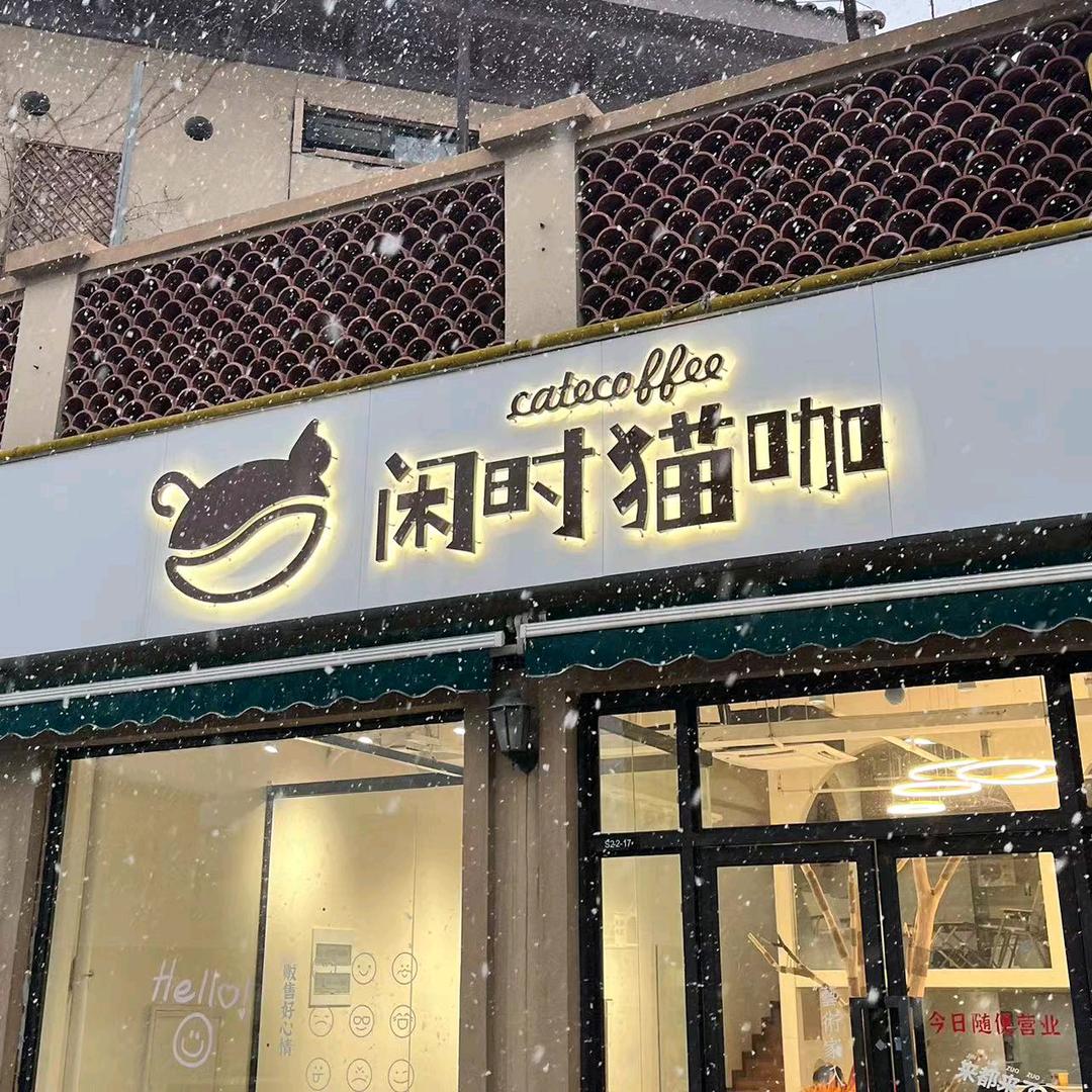 闲时猫咖