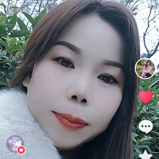 紫燕高飞
