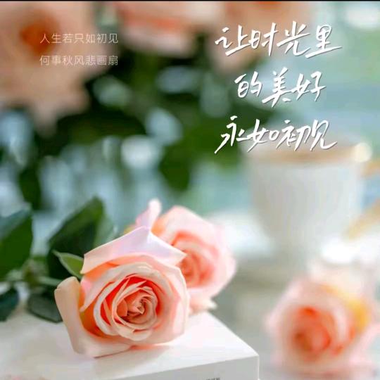 🌿安然🌱