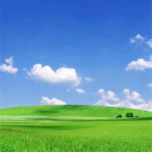 ღ•心向阳光•☆ღ