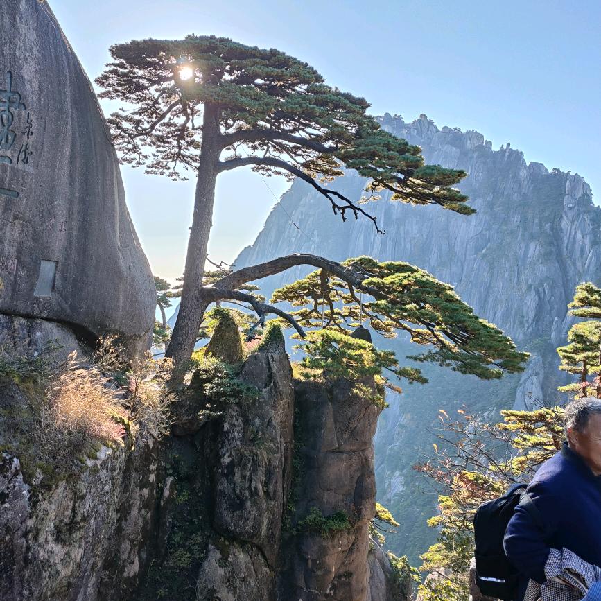 岁月静好🤪😁