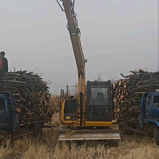 小袁砍树