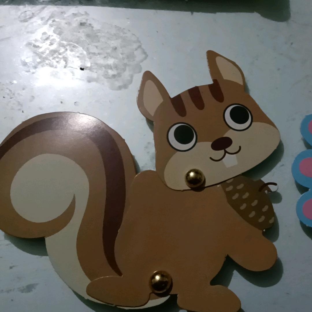 祝福满满，小丽