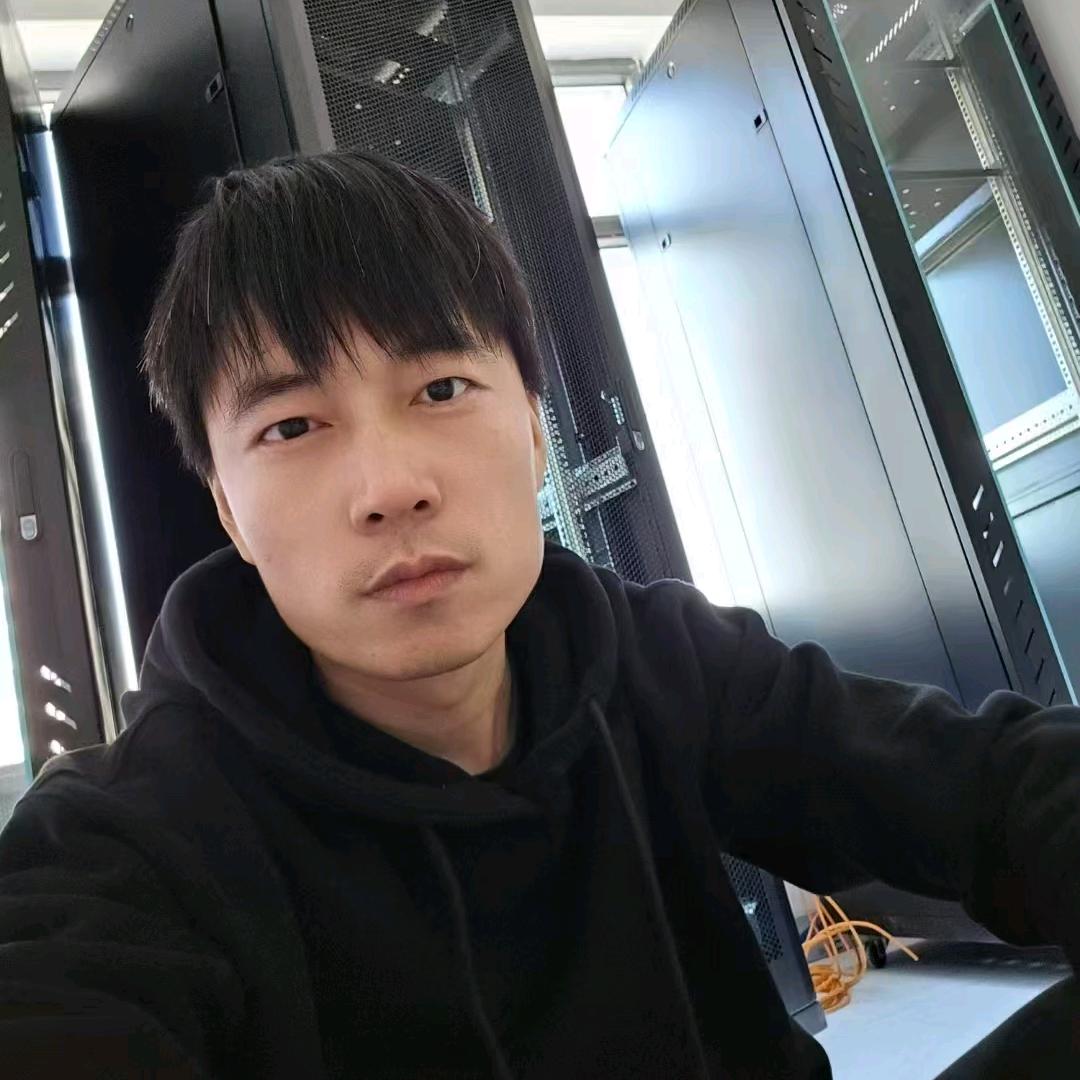 金叶网络