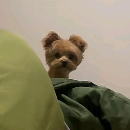 我要吃小孩
