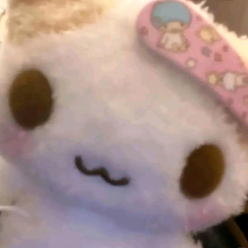 一碗墨鱼烧仔饭
