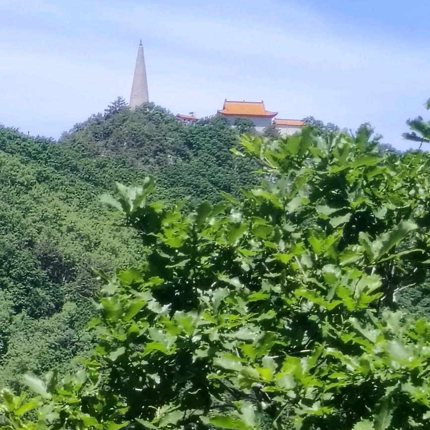玖零后