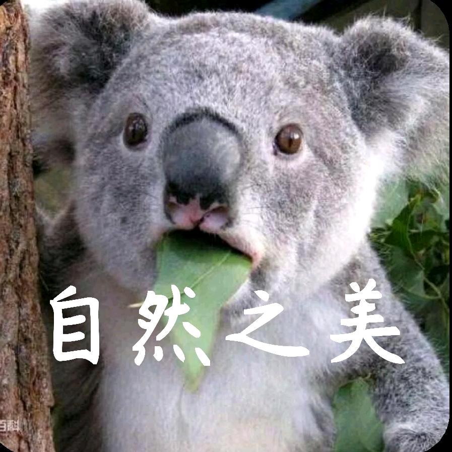 自然之美