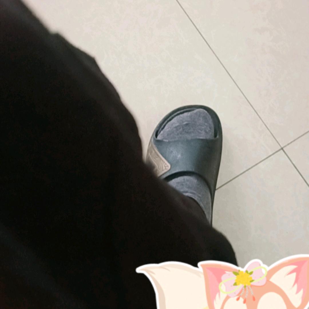 独树一帜