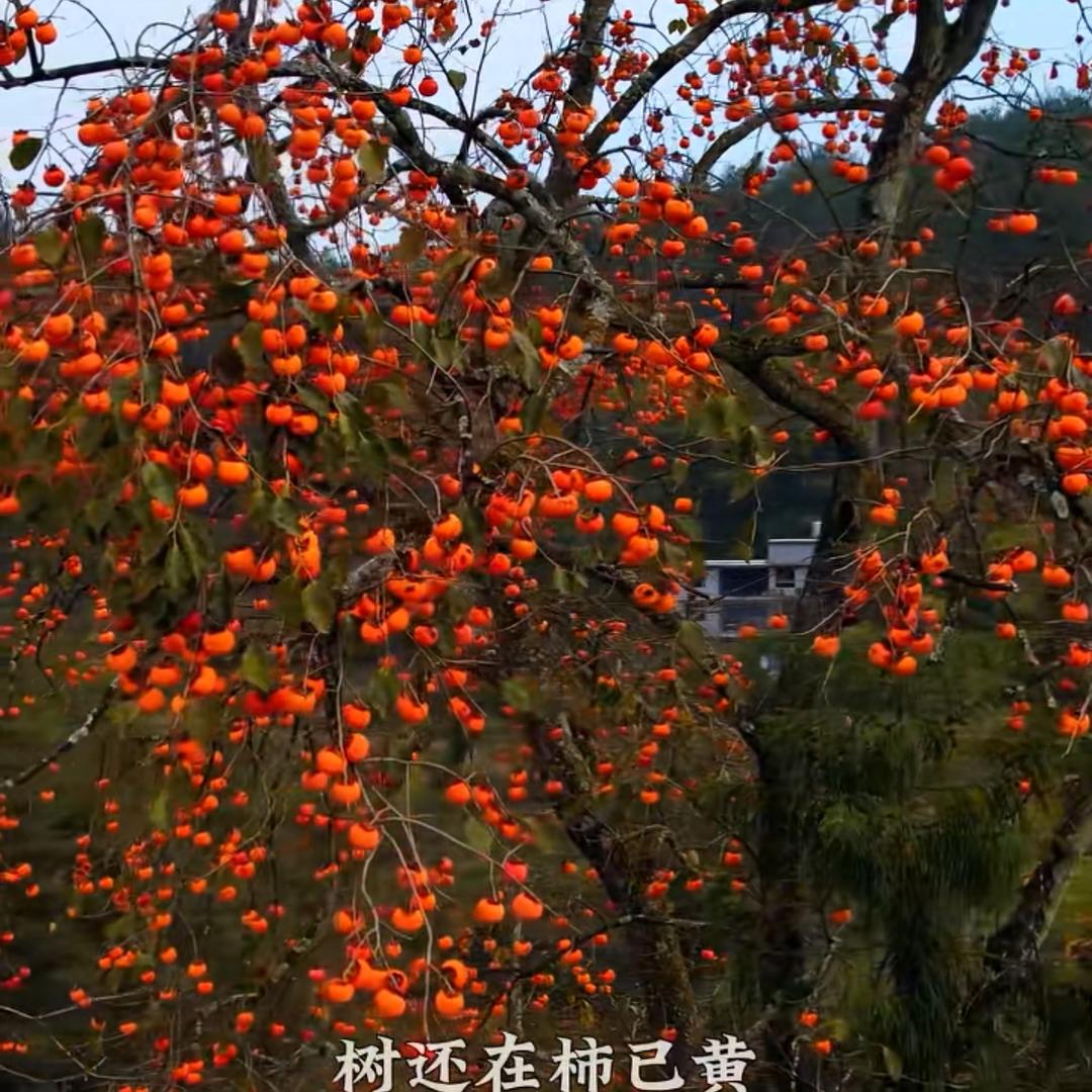 创业者