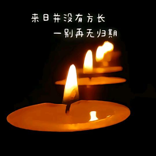 兄弟，减肥吧！