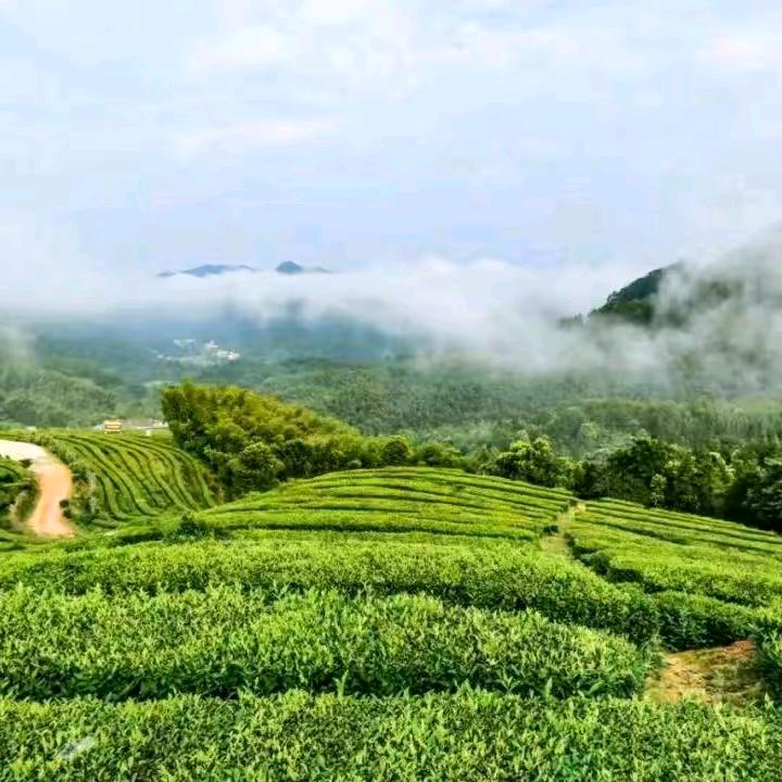 永远幸福