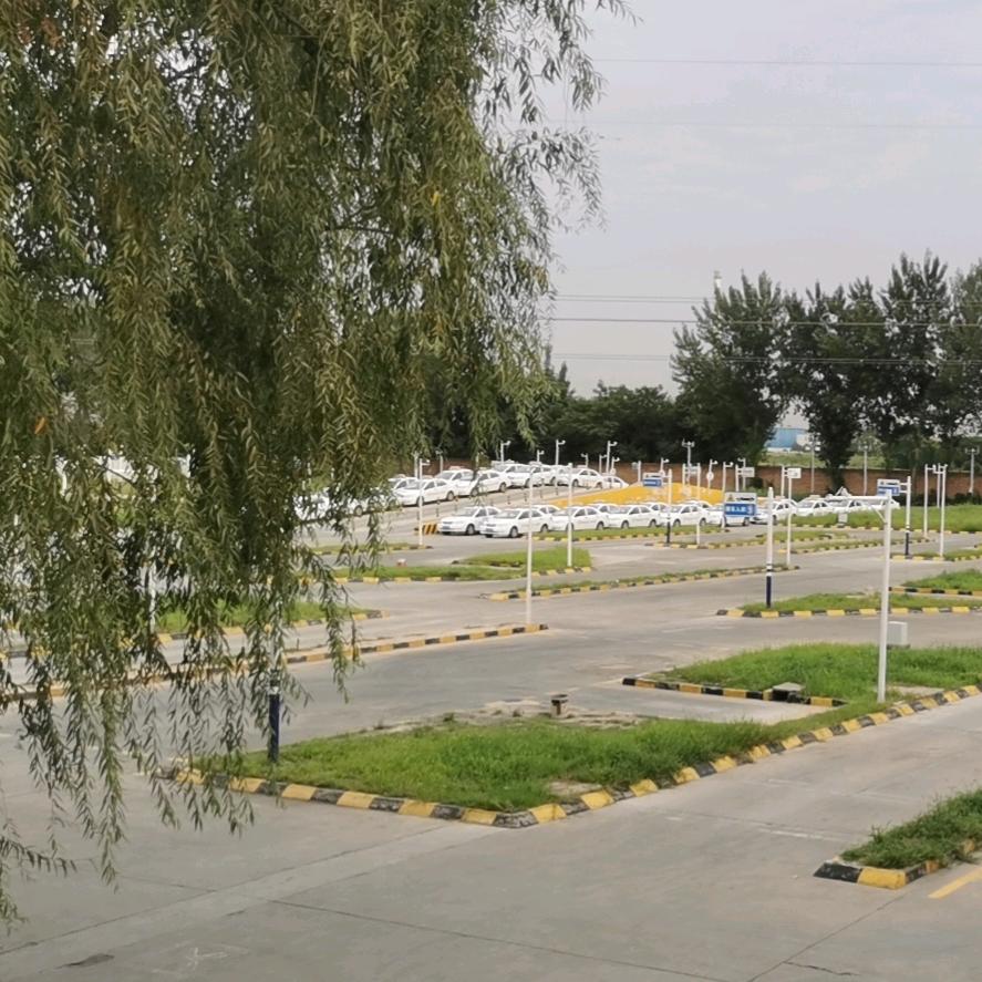 驾培从业十五年