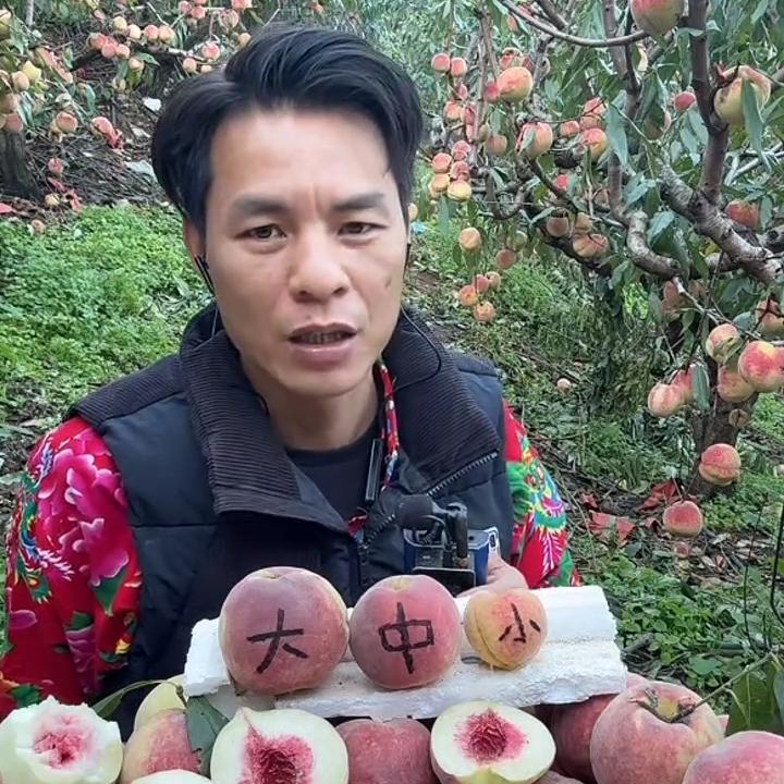 欢仔团队小表哥