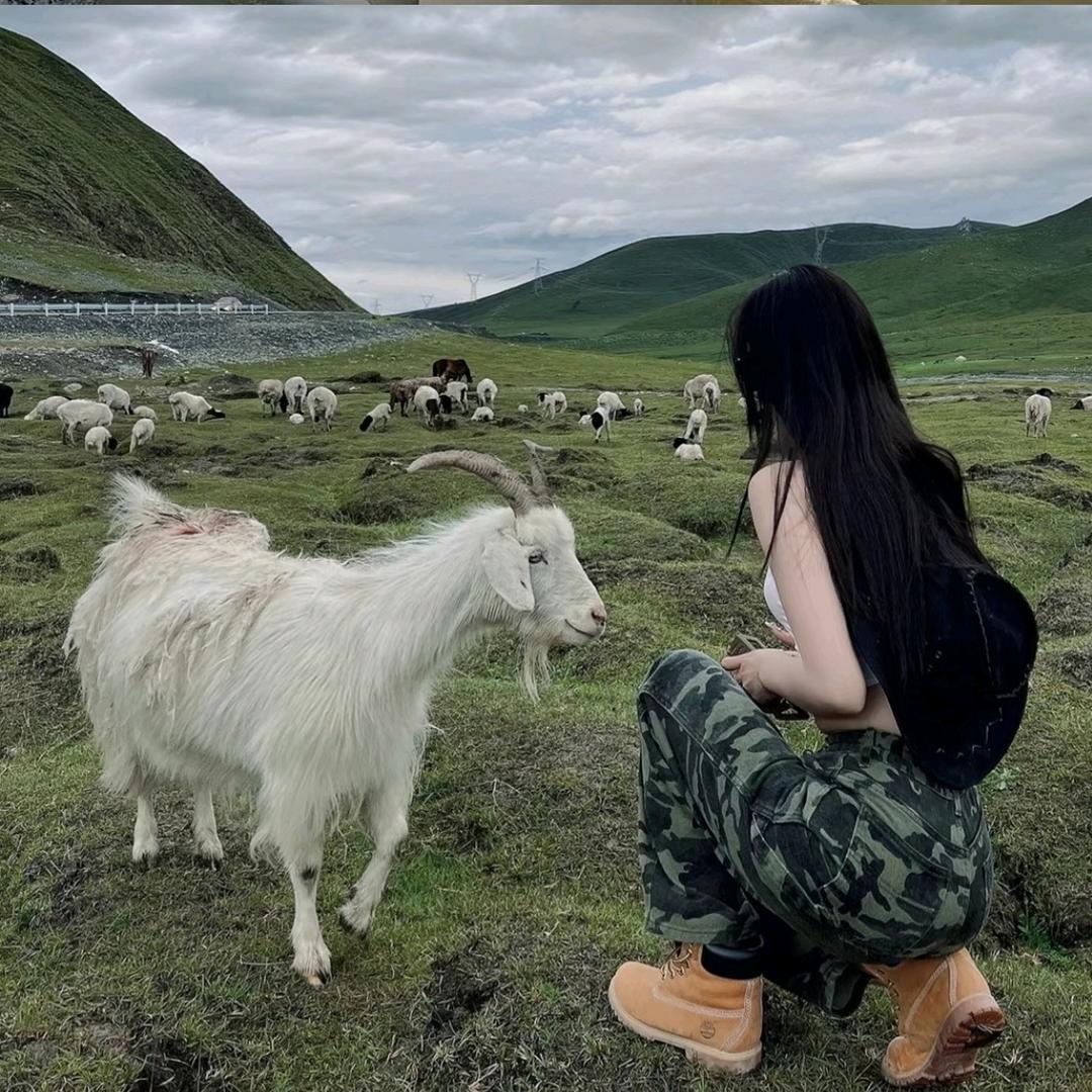 在黄昏相拥. 📸