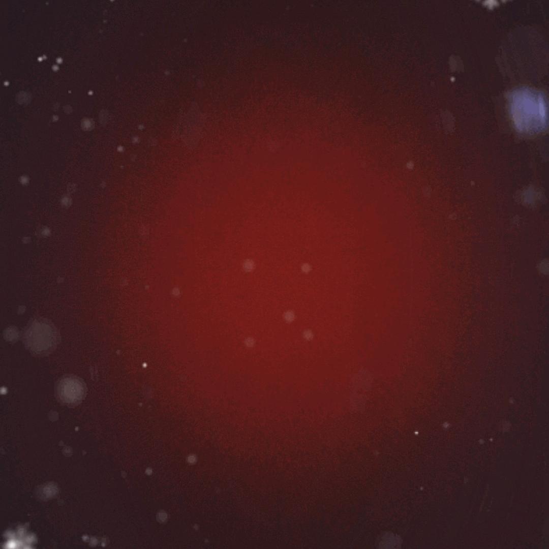 小恒子