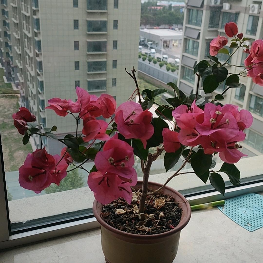 做个快乐的自己