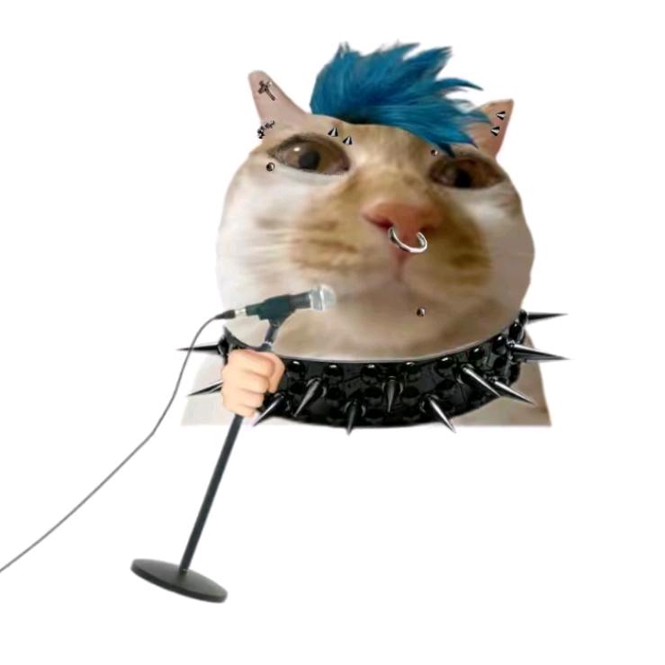邪恶混的猫