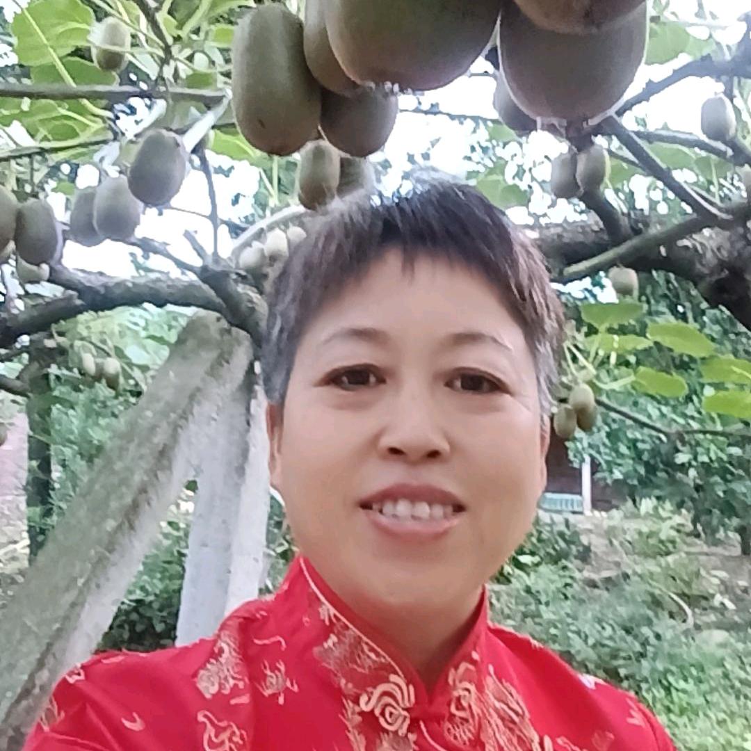 伦莲好物《安》