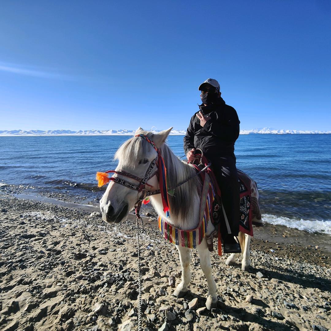 我想要两颗西柚