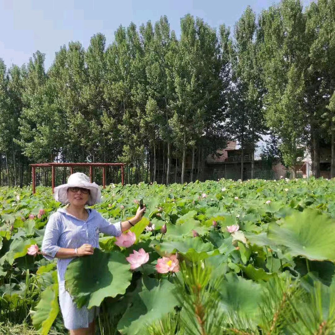 民以食为天