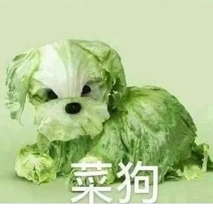 江娃莱