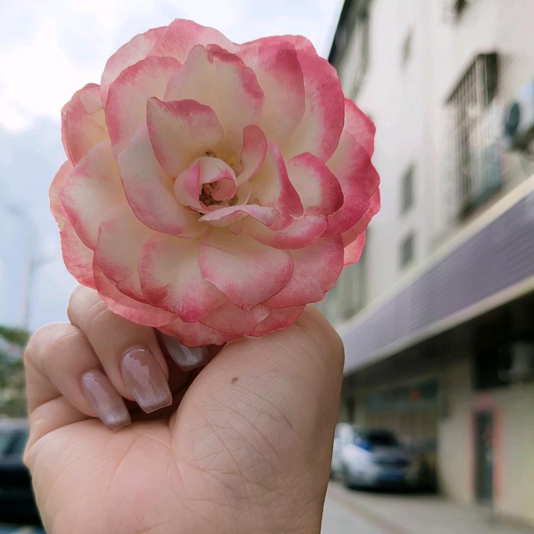 财神爷的小宝贝