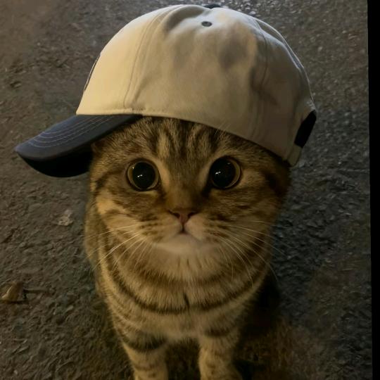 Hallo.