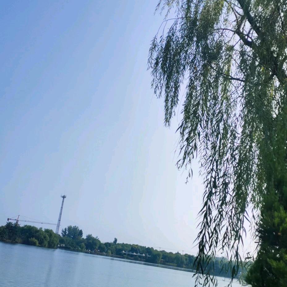 萍凡
