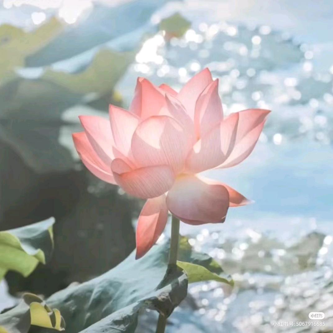 曹祖瑛
