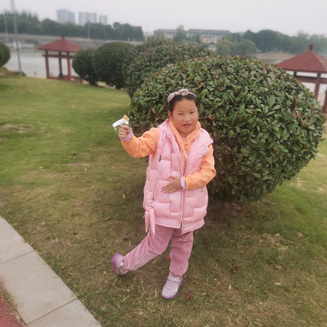 雨天下的孤雁