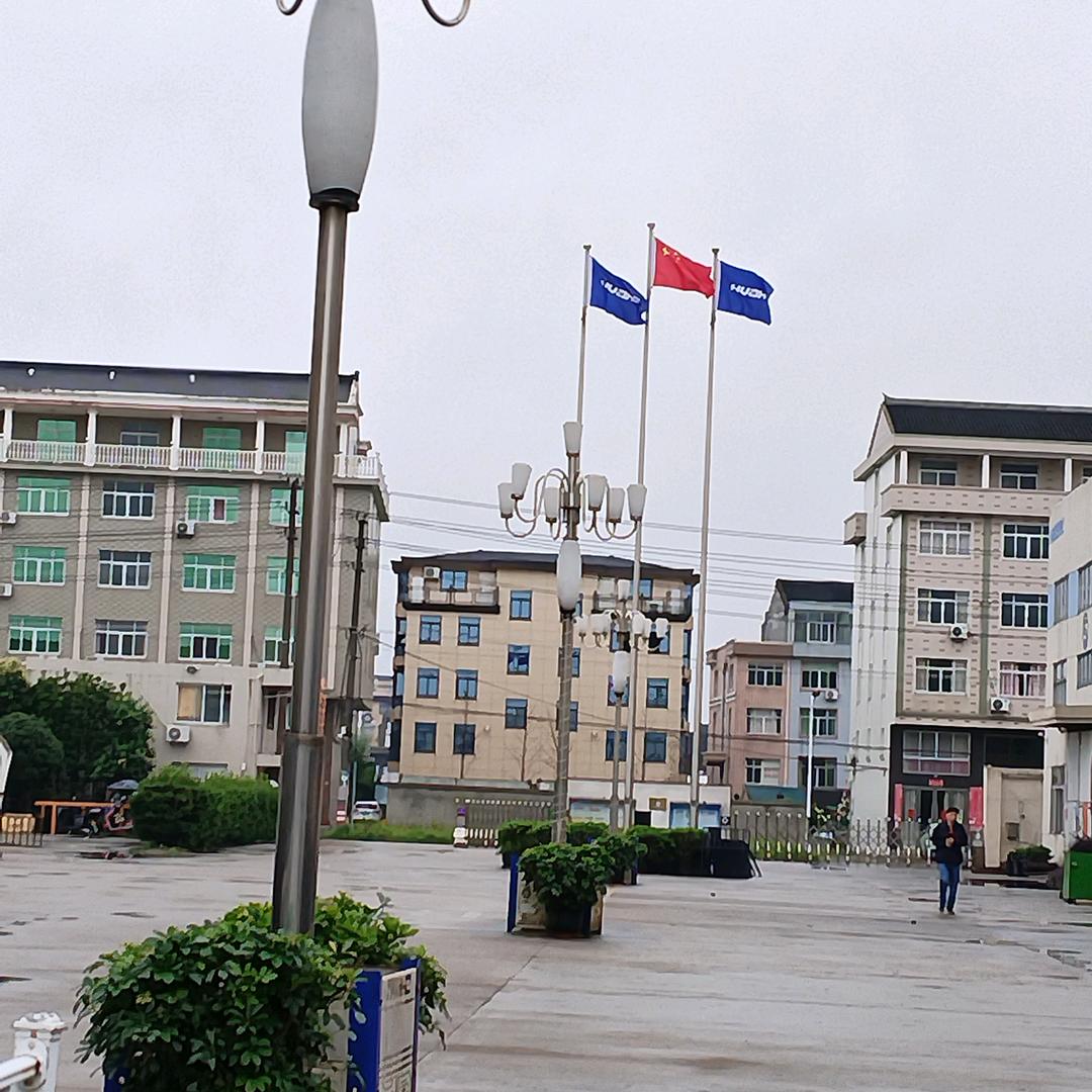 巡山王