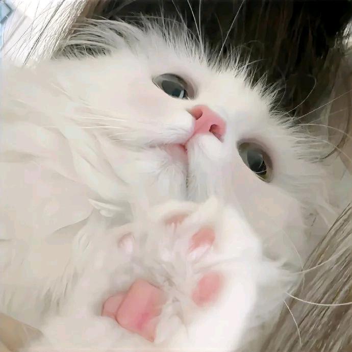 71