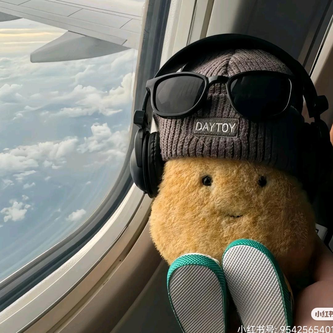 手撕鸡大王