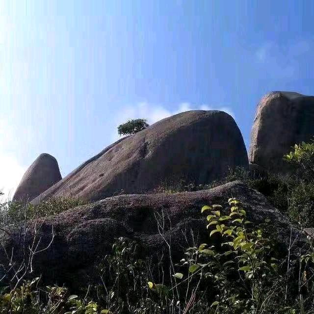 ԅ  一 介  ¯¯  凡 夫  ԅ