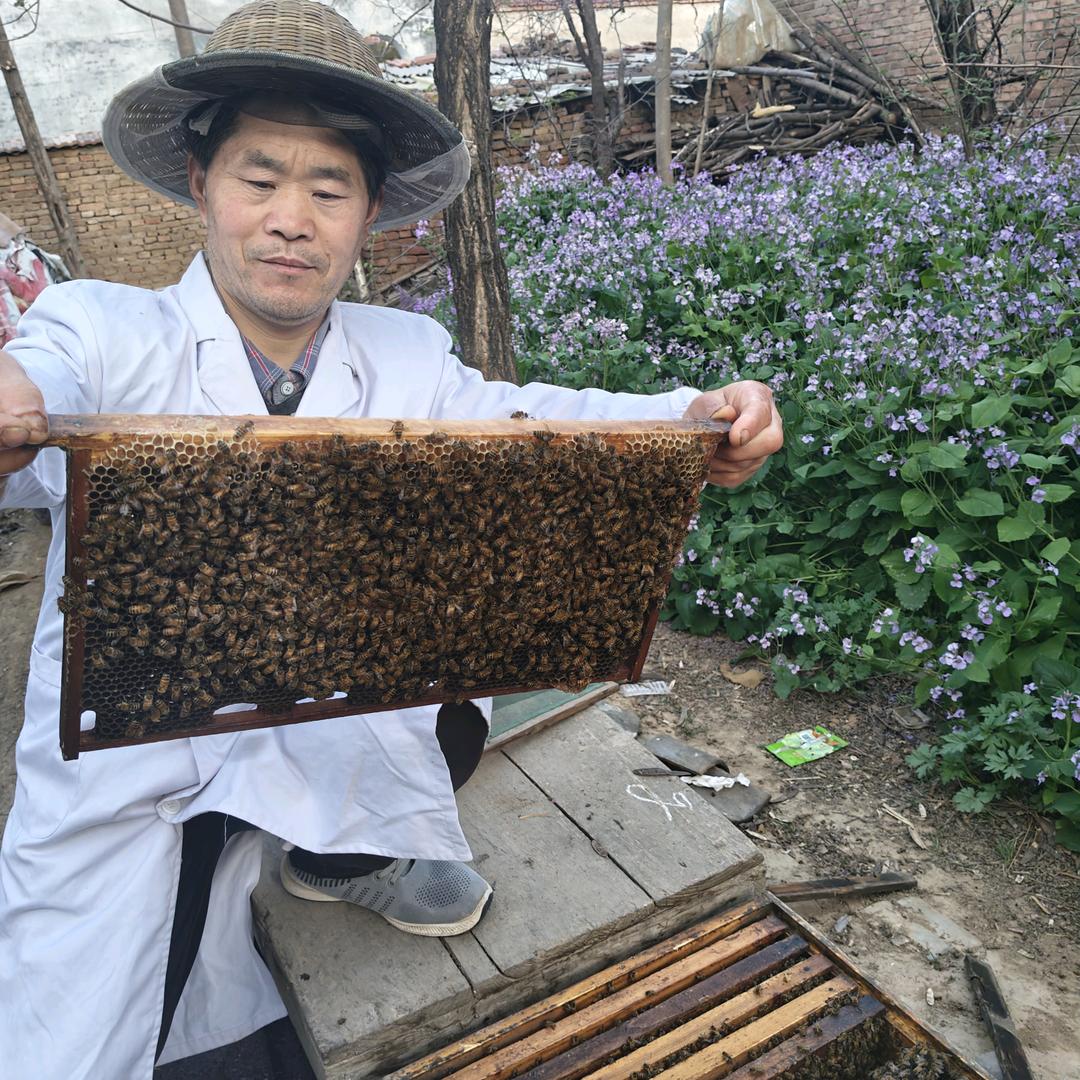 甜蜜蜜一健康人生