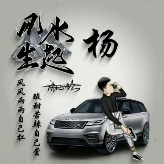 单只蝴蝶
