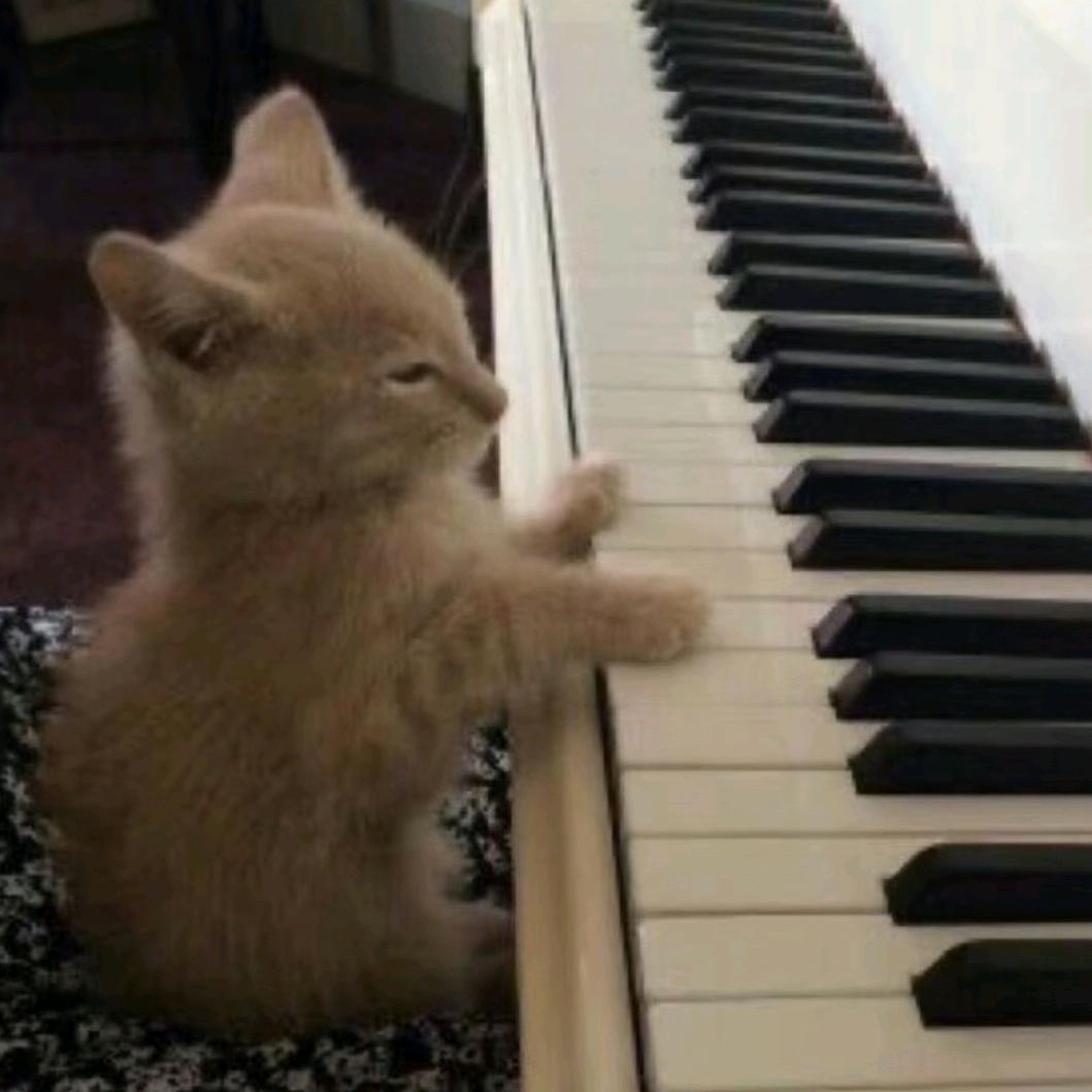 钱辈！请和我交往！