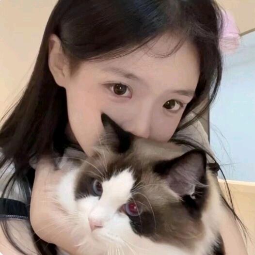 諸事皆順