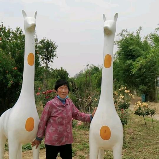 安家奶奶